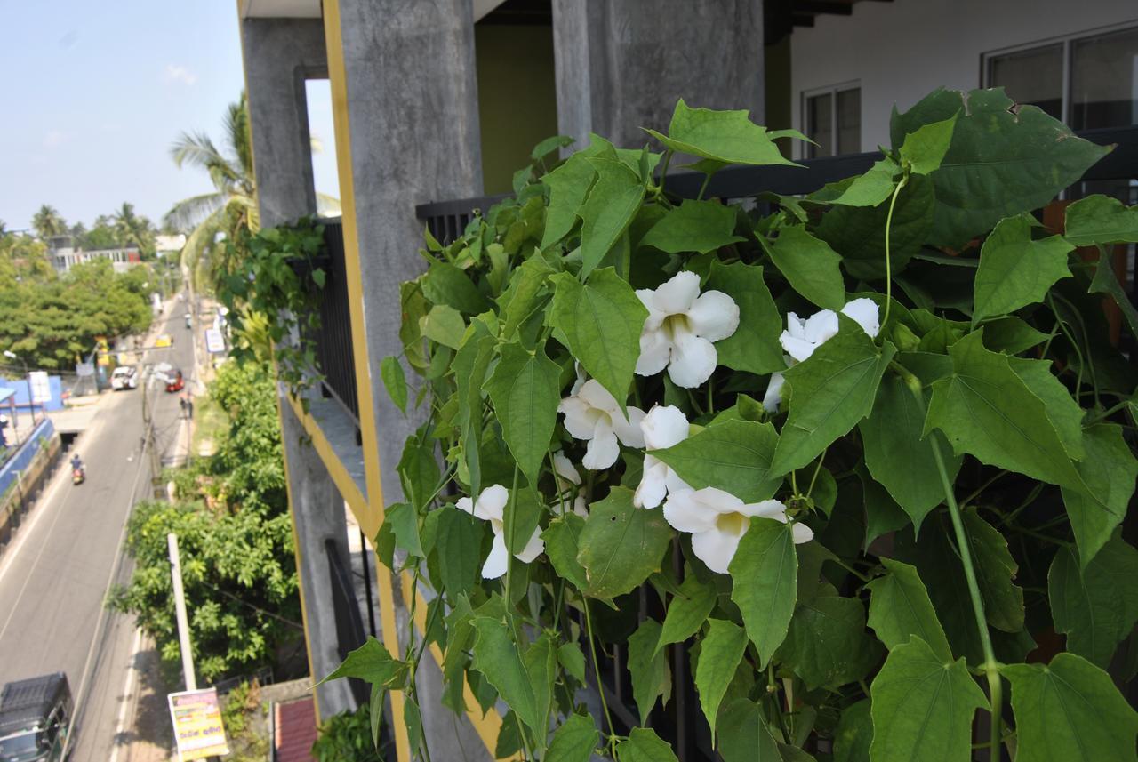 The Canoe Negombo Exterior photo